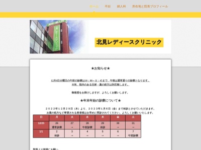 産科・婦人科北見レディースクリニック(北海道北見市大通東２丁目１１番地)