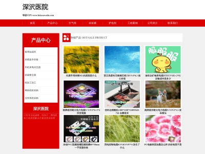 深沢医院(東京都大田区田園調布本町27番9号)