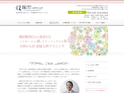 中野レディースクリニック(神奈川県横浜市西区北幸2-4-10 大明ビル2F)