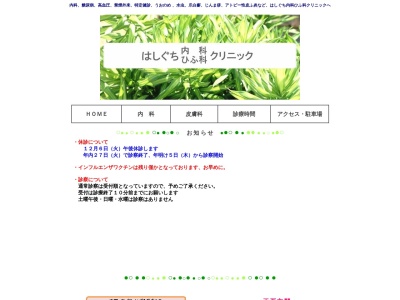 はしぐち内科ひふ科クリニック(鹿児島県鹿児島市大黒町２番１号１Ｆ)